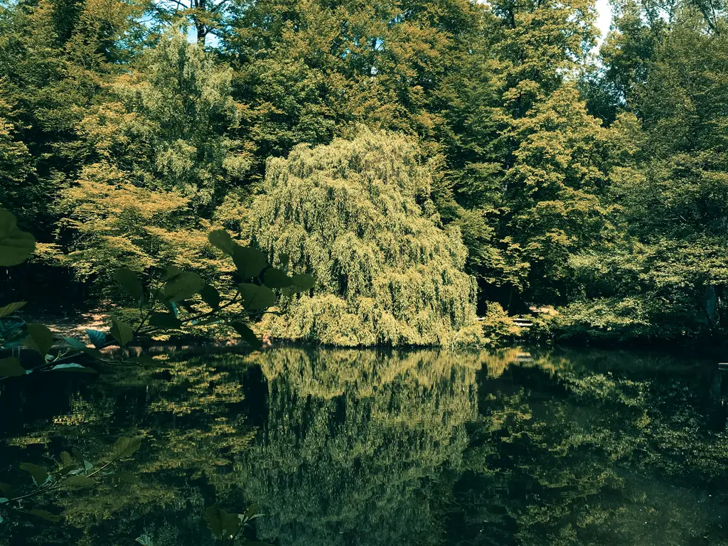 富悅度假休閒旅館：享受奢華寧靜的度假時光