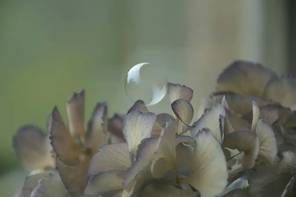 台灣度假別墅指南：享受奢華假期