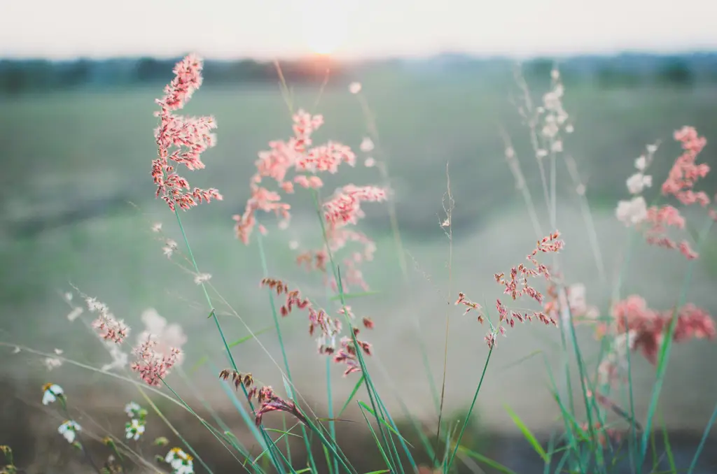 歡樂秧悅，度假味美