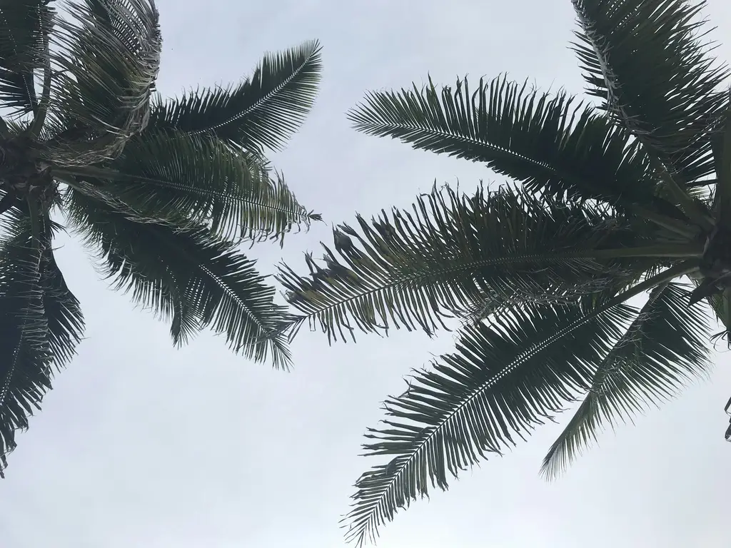 台灣花季湯屋指南：泡湯賞花，身心靈大滿足